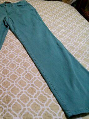 Judy Blue Sea Green / Teal garment-dyed jeans. SIZE 14W GOOD CONDITION